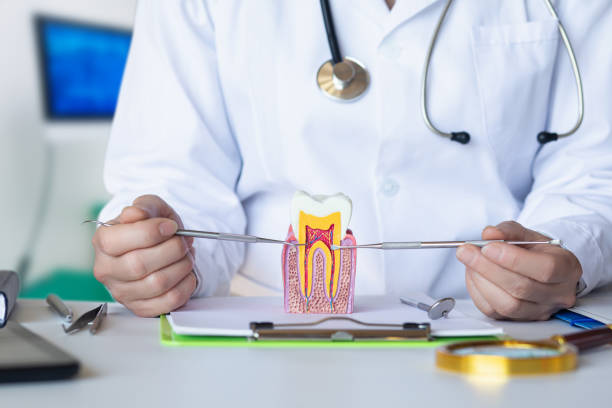 Best Emergency Dental Care for Abscessed Tooth in La Grande, OR